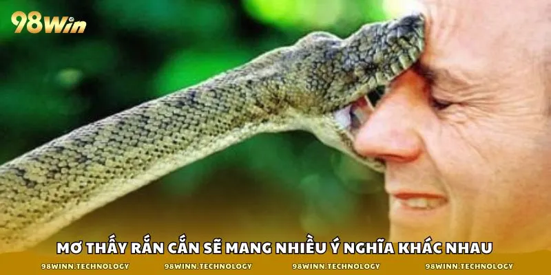 Mơ thấy rắn cắn sẽ mang nhiều ý nghĩa khác nhau