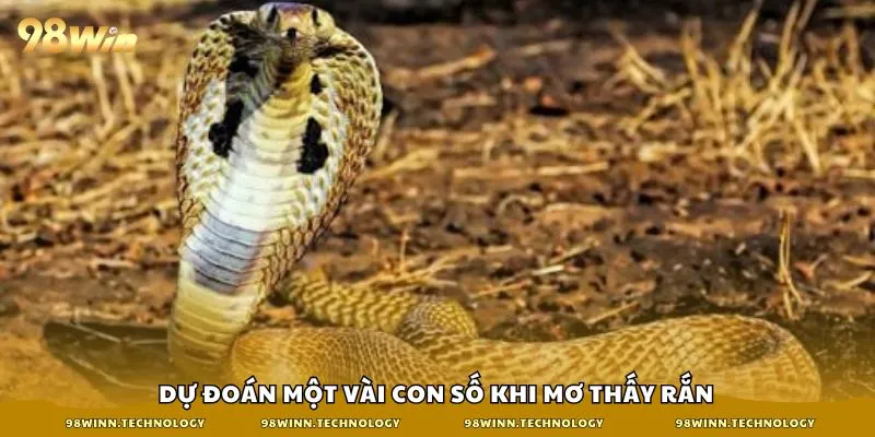 Nằm mơ thấy rắn sẽ mang nhiều ý nghĩa